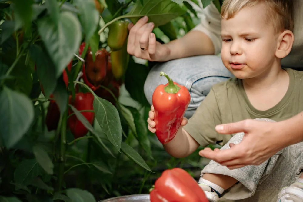 34 Questions every parent should ask before enrolling in childcare